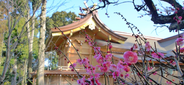 鎮守の杜と新御殿